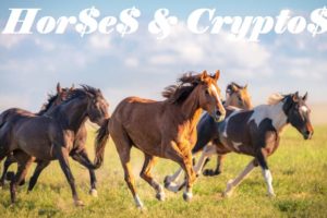 Horses and Cryptos